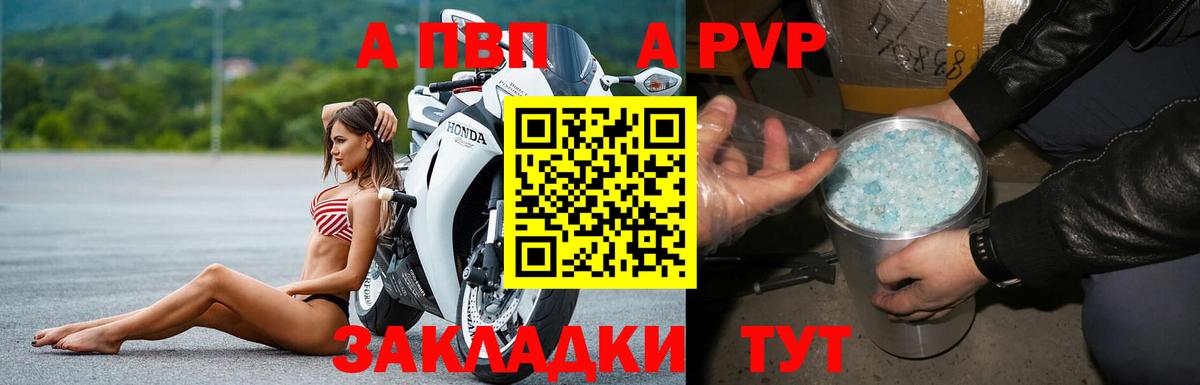 A PVP СК КРИС Новозыбков